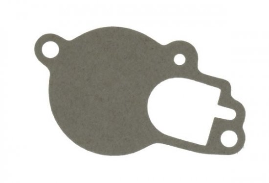 Carburettor gasket RMS 100709060