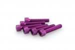 Screws PUIG 0258L ANODIZED violet M6 x 30mm (6pcs)