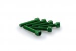 Screws PUIG 0258V ANODIZED green M6 x 30mm (6pcs)