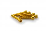 Screws PUIG 0346G ANODIZED yellow M6 x 35mm (6pcs)