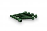 Screws PUIG 0346V ANODIZED green M6 x 35mm (6pcs)