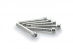 Screws PUIG 0370P ANODIZED silver M6 x 45mm (6pcs)