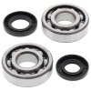 Crankshaft bearing and seal kit All Balls Racing CB24-1009