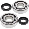 Crankshaft bearing and seal kit All Balls Racing CB24-1010