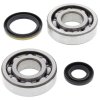 Crankshaft bearing and seal kit All Balls Racing CB24-1020