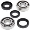 Crankshaft bearing and seal kit All Balls Racing CB24-1022