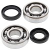 Crankshaft bearing and seal kit All Balls Racing CB24-1024