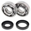 Crankshaft bearing and seal kit All Balls Racing CB24-1025