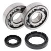 Crankshaft bearing and seal kit All Balls Racing CB24-1027