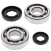 Crankshaft bearing and seal kit All Balls Racing CB24-1029