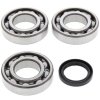 Crankshaft bearing and seal kit All Balls Racing CB24-1076