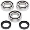 Crankshaft bearing and seal kit All Balls Racing CB24-1077