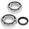 Crankshaft bearing and seal kit All Balls Racing CB24-1081