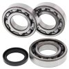 Crankshaft bearing and seal kit All Balls Racing CB24-1089