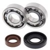 Crankshaft bearing and seal kit All Balls Racing CB24-1101