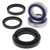 Wheel bearing and seal kit All Balls Racing WB25-1029