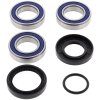 Wheel bearing and seal kit All Balls Racing WB25-1034