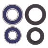 Wheel bearing and seal kit All Balls Racing WB25-1035