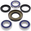 Wheel bearing and seal kit All Balls Racing WB25-1037