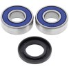 Wheel bearing and seal kit All Balls Racing WB25-1038