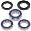 Wheel bearing and seal kit All Balls Racing WB25-1039