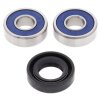 Wheel bearing and seal kit All Balls Racing WB25-1040