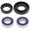 Wheel bearing and seal kit All Balls Racing WB25-1041