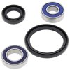 Wheel bearing and seal kit All Balls Racing WB25-1048