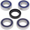 Wheel bearing and seal kit All Balls Racing WB25-1051