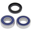 Wheel bearing and seal kit All Balls Racing WB25-1059