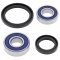 Wheel bearing and seal kit All Balls Racing