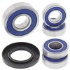 Wheel bearing and seal kit All Balls Racing WB25-1097