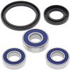 Wheel bearing and seal kit All Balls Racing WB25-1098