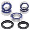 Wheel bearing and seal kit All Balls Racing WB25-1099