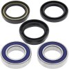 Wheel bearing and seal kit All Balls Racing WB25-1108