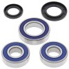 Wheel bearing and seal kit All Balls Racing WB25-1110