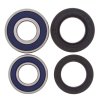 Wheel bearing and seal kit All Balls Racing WB25-1113