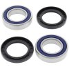 Wheel bearing and seal kit All Balls Racing WB25-1121