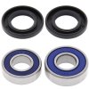 Wheel bearing and seal kit All Balls Racing WB25-1168