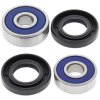 Wheel bearing and seal kit All Balls Racing WB25-1181