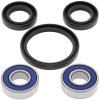 Wheel bearing and seal kit All Balls Racing WB25-1187