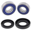 Wheel bearing and seal kit All Balls Racing WB25-1194