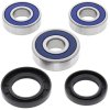 Wheel bearing and seal kit All Balls Racing WB25-1209