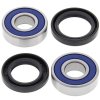 Wheel bearing and seal kit All Balls Racing WB25-1221