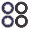 Wheel bearing and seal kit All Balls Racing WB25-1223