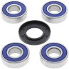 Wheel bearing and seal kit All Balls Racing WB25-1228