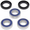 Wheel bearing and seal kit All Balls Racing WB25-1233