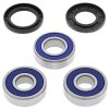 Wheel bearing and seal kit All Balls Racing WB25-1281