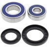 Wheel bearing and seal kit All Balls Racing WB25-1284