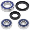 Wheel bearing and seal kit All Balls Racing WB25-1285